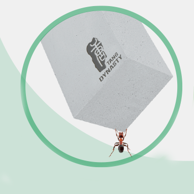 Illustration of an ant carrying a Tang Dynasty AAC block, showing how lightweight it is